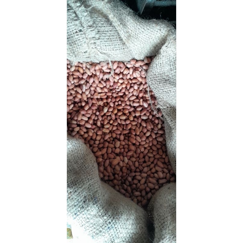 

KACANG TANAH KUPAS ANEKA UKURAN