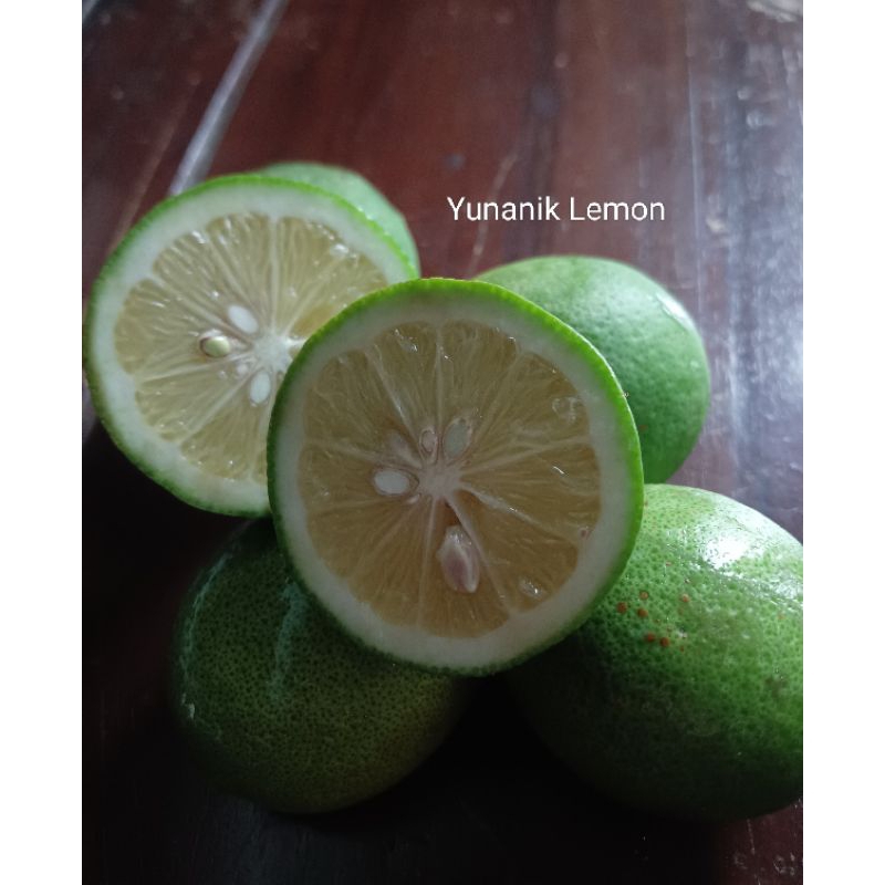 

Jeruk Lemon California