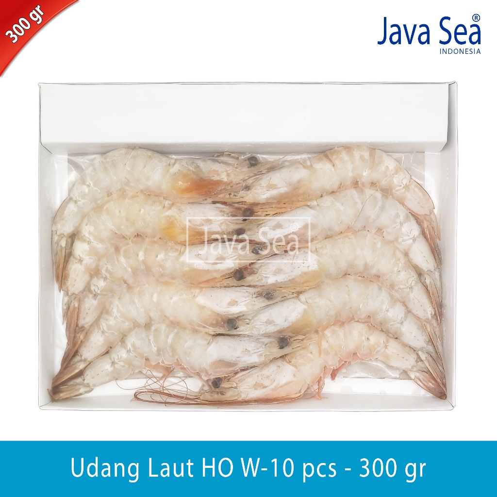 

Udang Laut Utuh Ada Kepala HO W-10 ekor pack 300gr Java Sea