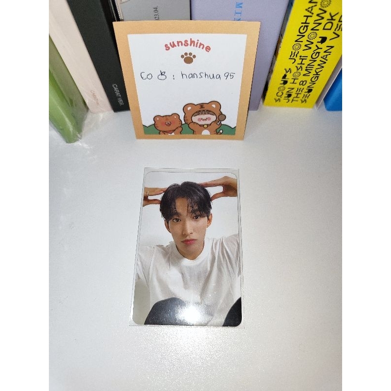 PC dk morol dk puppy