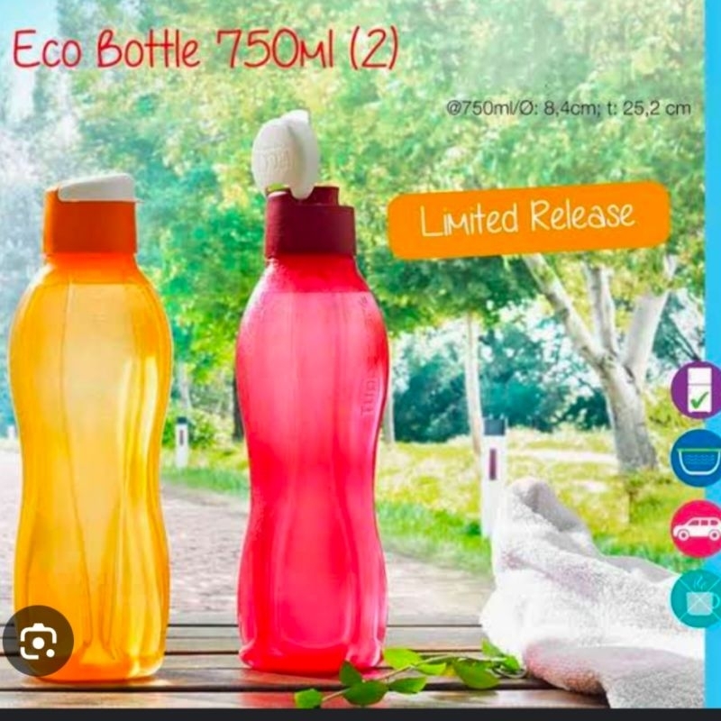 ECO BOTTLE FLIP 750ml