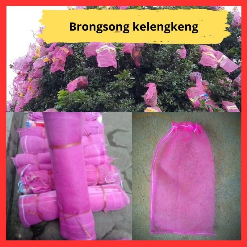 Brongsong buah kelengkeng, Brongsong kelengkeng dengan tali, Brongsong  kelengkeng bekas