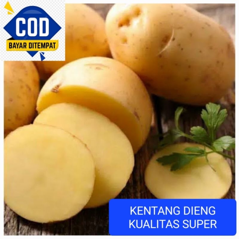 

KENTANG DIENG SUPER 1 KG