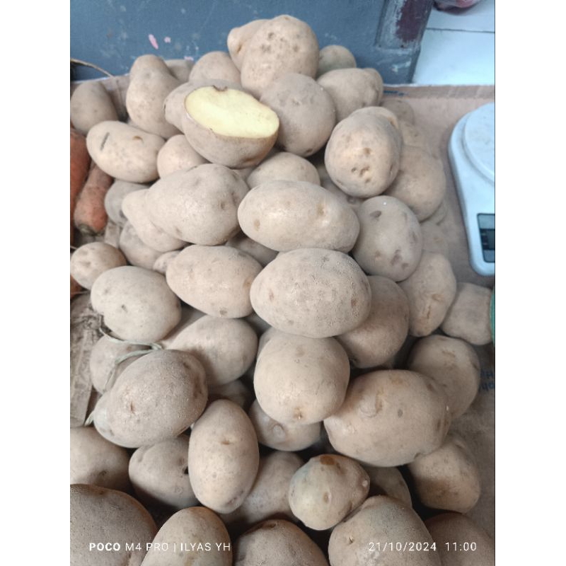 

kentang Dieng super fresh kuning 500gram