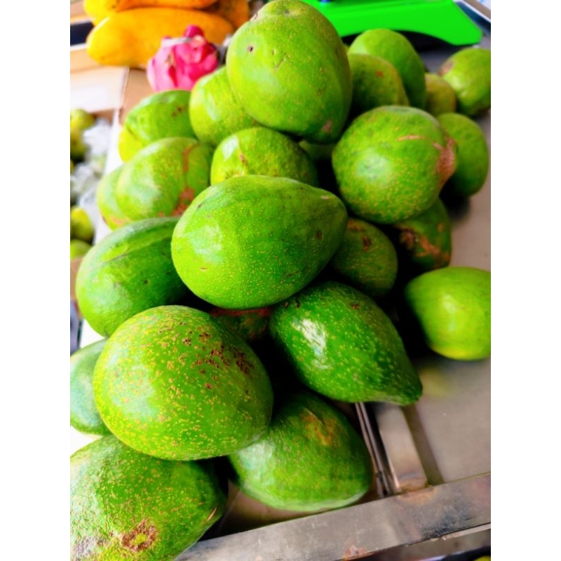 

alpukat ready 500 - 1000 gr