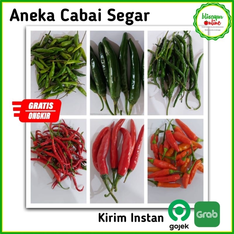 

Aneka Cabai Segar Rawit Ijo Keriting Cabe Merah Cabe Murah Kirim Instan