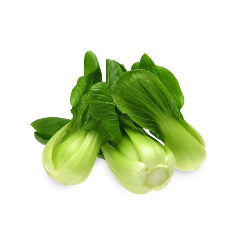 

SAYUR PAKCOY SEGAR 250 gram SAYUR SEGAR SIDOARJO