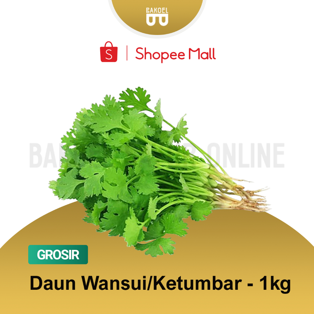 

Daun Wansui - Grosir 1 Kg