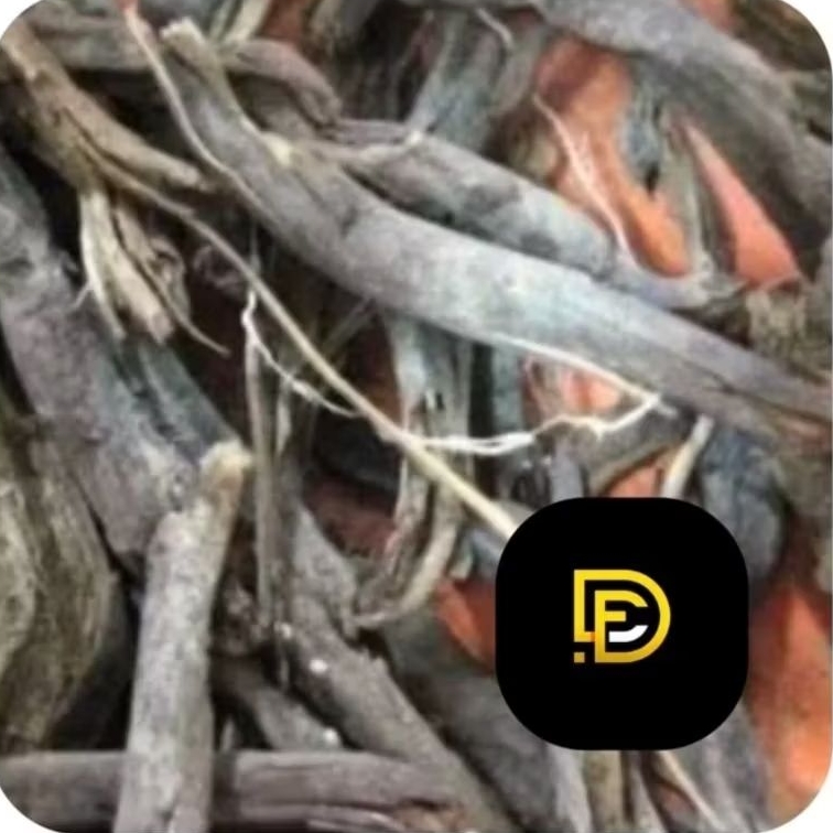 

Akar aren kering akar pohon aren kering 250 gram-az