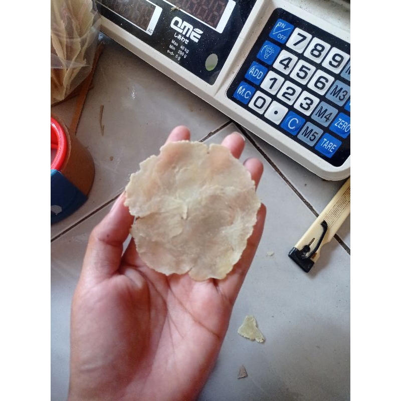 

Emping melinjo mentah 10kg dus besar