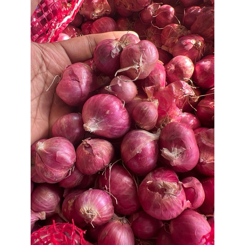 

BAWANG MERAH LOKAL FRESH 1 Kg