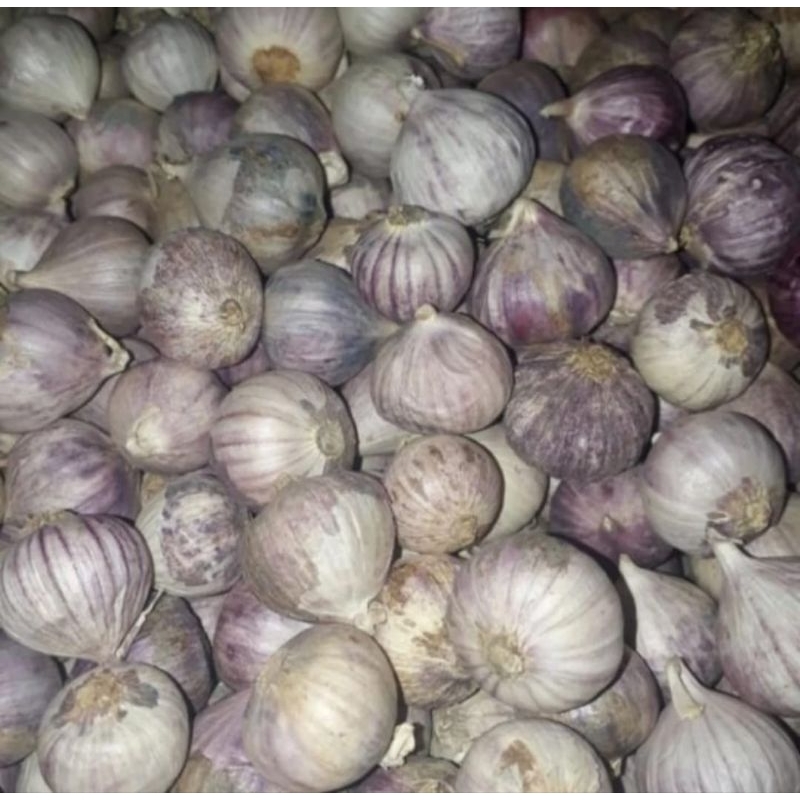 

Bawang Putih Tunggal Ungu / Bawang Lanang 250gr 500gr 1000gr