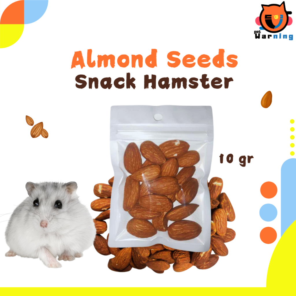 Snack Hamster Almond Seeds - Kacang Almond - Snack Hamster Cemilan Kacang Almon Camilan Ekstra Food 