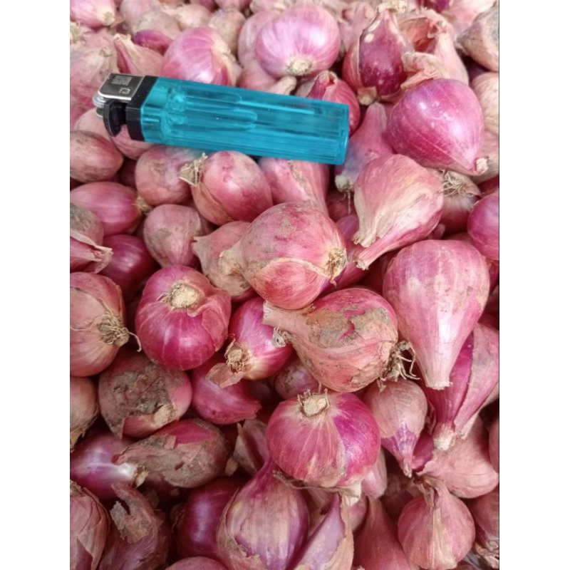 

Bawang Merah 500gr