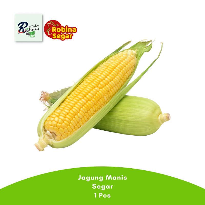 

Bandung Jagung Manis Segar 1 pcs