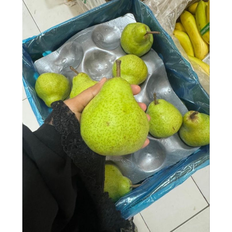 

PIR PACKHAM/PIR HIJAU JAMBU FRESH 1KG