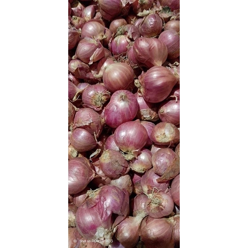 

bawang merah tanggung kecil 1kg