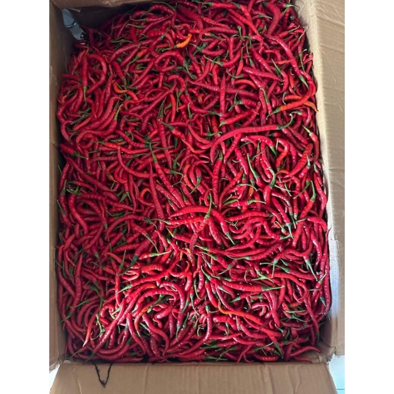 

CABE MERAH TKX 100G CABE MERAH TKX 500G CABE MERAH TKX 1kg
