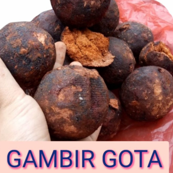 

GETAH GAMBIR SIRIH /GAMBIR GOTA MAHA BUNGA DARI MEDAN HERBAL