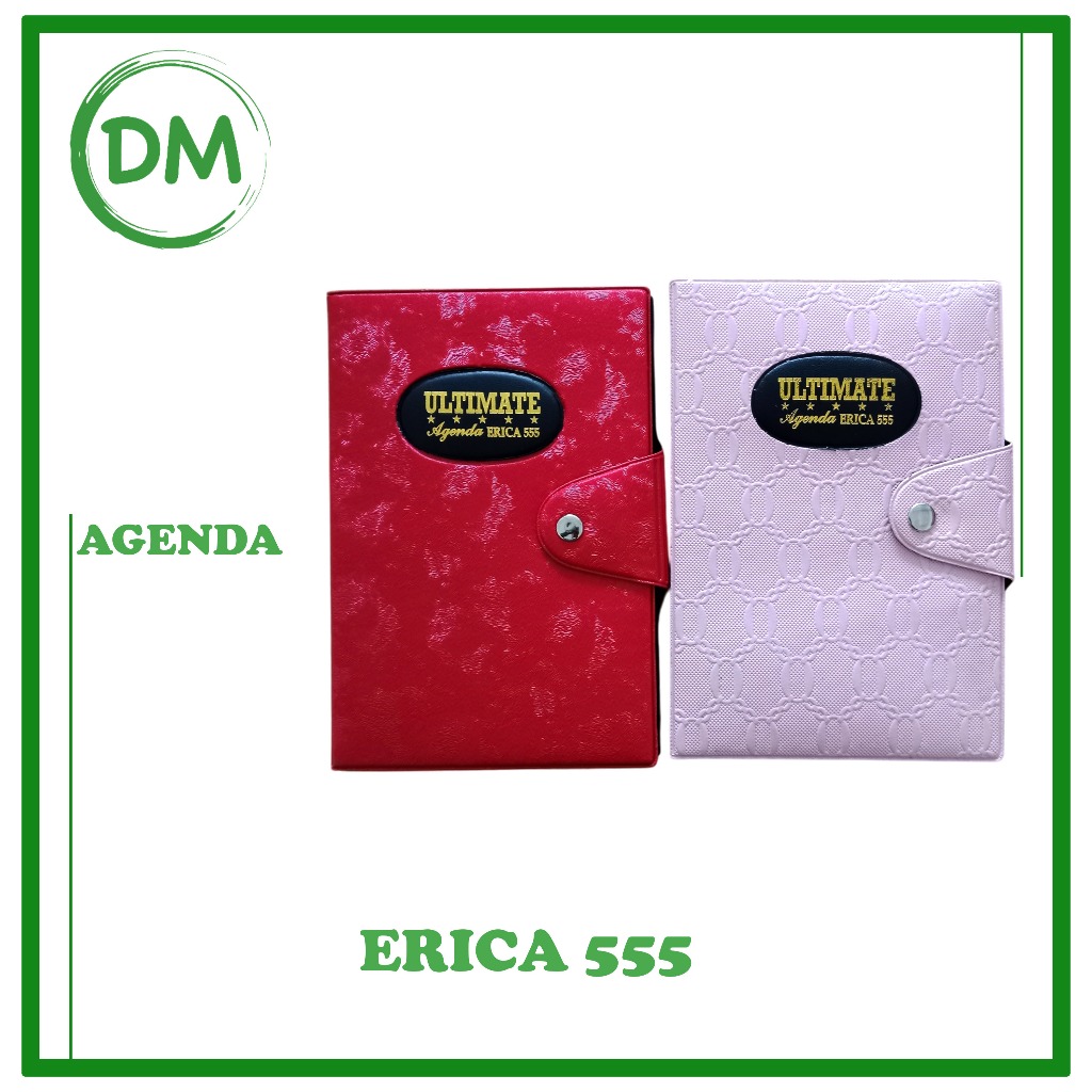 

ERICA 555 AGENDA