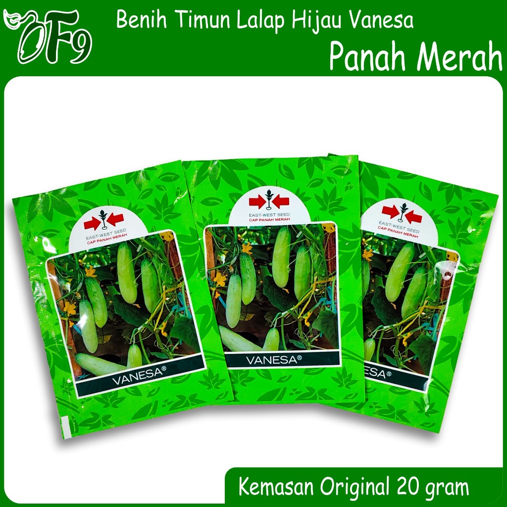 Benih Timun lalap - bibit mentimun hijau Vanesa panah merah 20 gram