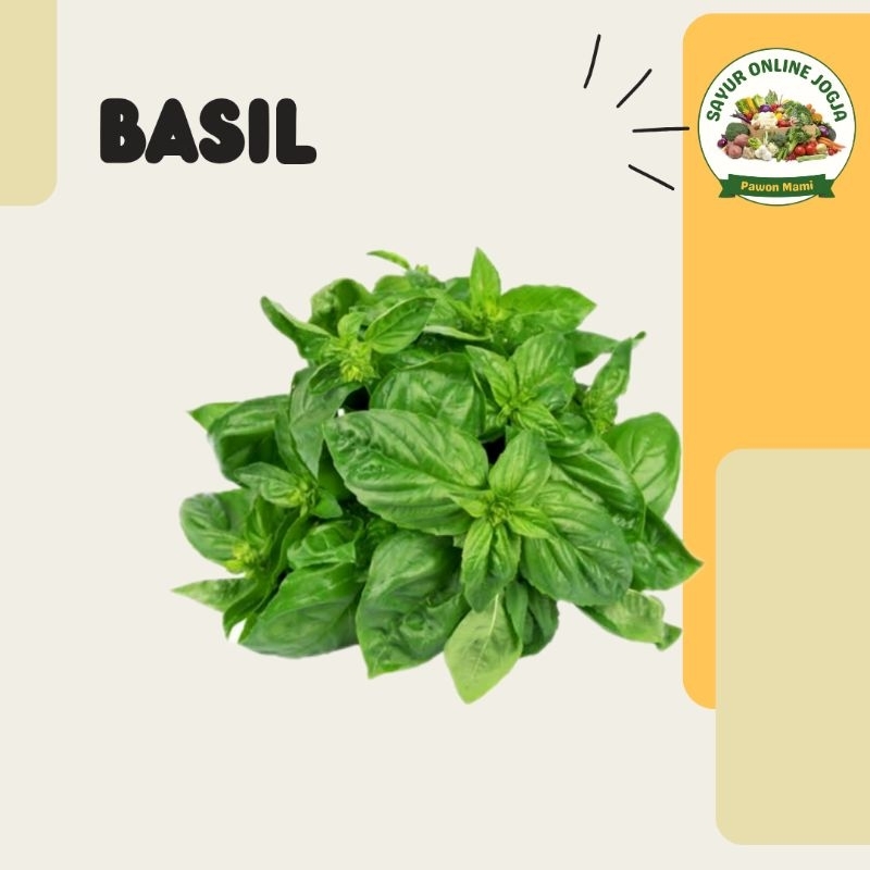 

Basil 50gr - PAWON MAMI SAYUR ONLINE JOGJA