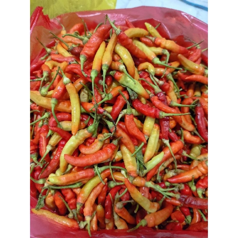 

CABE RAWIT BERAT 1 KG