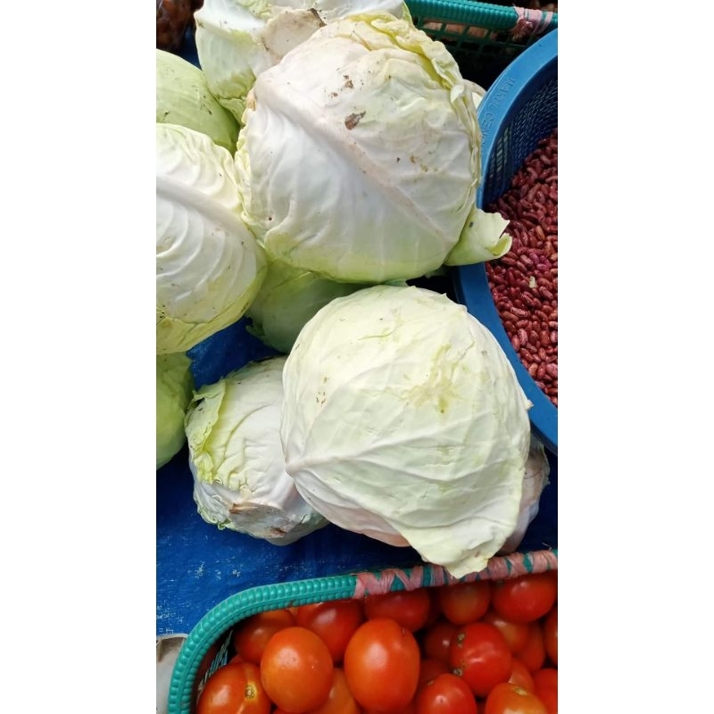 

KUBIS KOL 1KG