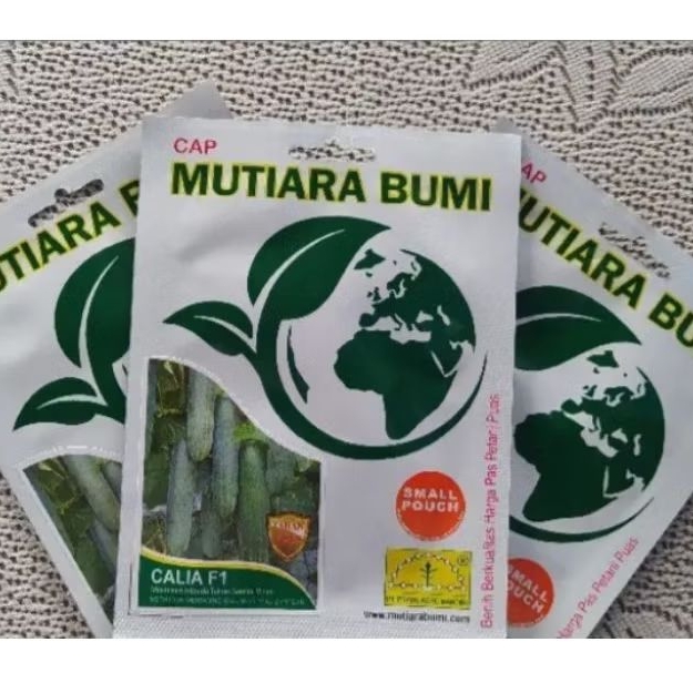 

200 butir Benih timun lalap calia f1 cap mutiara bumi