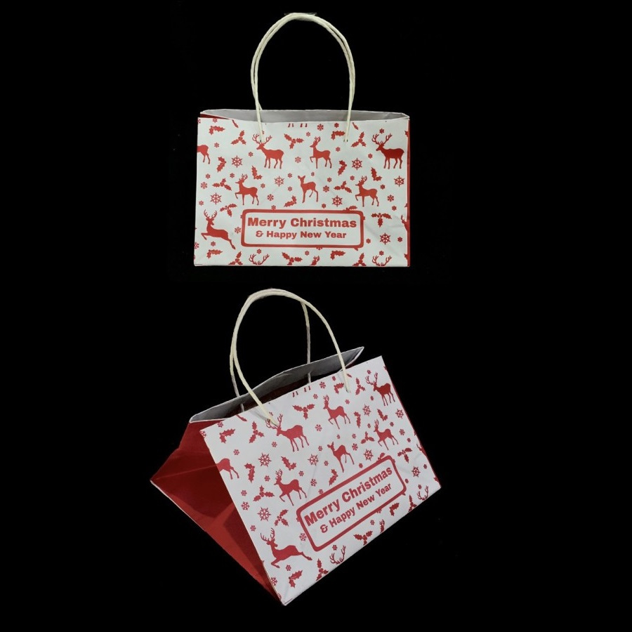 

5 Pcs Paper Bag Hampers Natal 22x22x15 Cm Goodie Bag Box Kue Christmas Tas Kantong Hadiah X Mas