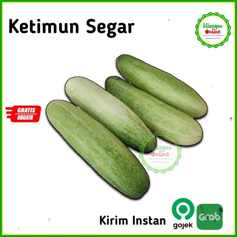 

Ketimun Timun Segar Kirim Instan Jabodetabek 250gr 500gr 1kg