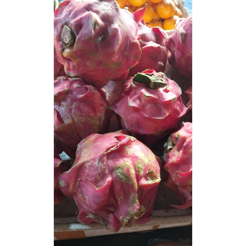 

Buah naga masak