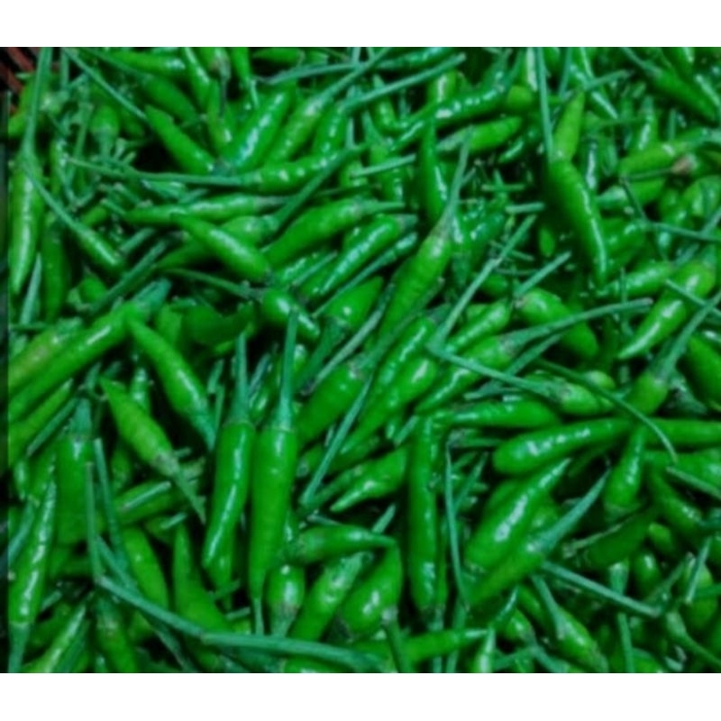 

SisumaFresh Cabe Rawit Hijau 1 Kg