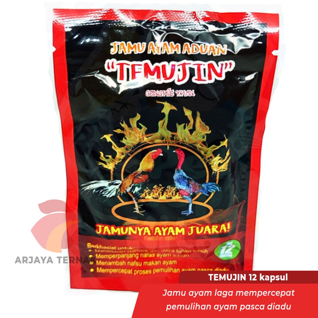 TEMUJIN Jamu Ayam Aduan penambah stamina dan nafsu makan