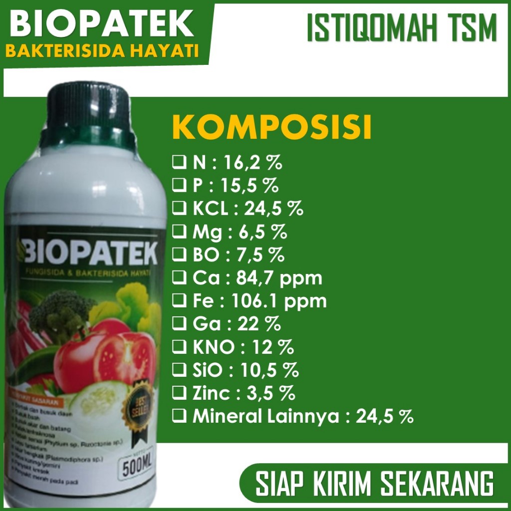 OBAT HAMA PATEK CABE ALAMI > OBAT PATEK CABE AMPUH > OBAT PATEK CABE ORGANIK - NOPATEK ASLI