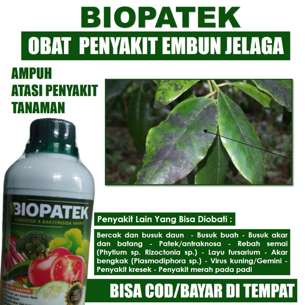 OBAT HAMA PENYAKIT EMBUN JELAGA DAUN MANGGA, JERUK, PADI DAN LAINNYA FUNGISIDA NOPATEK - Pupuk Organ