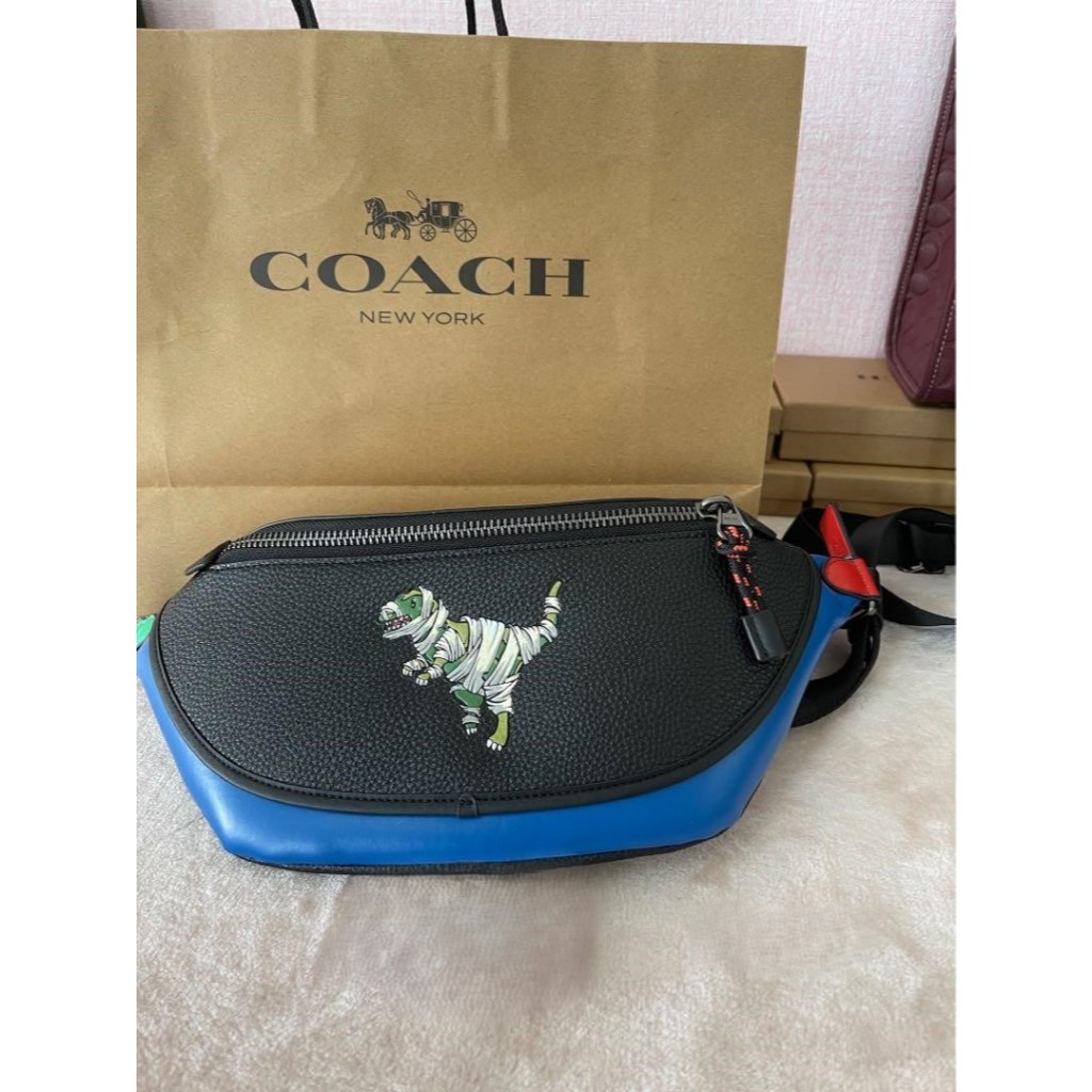 Waist Bag C7248 Michael B. Jordan League Belt Bag in Colorblock with Mummified Rexy - Tas Pinggang P