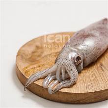 

Cumi serok segar 1kg