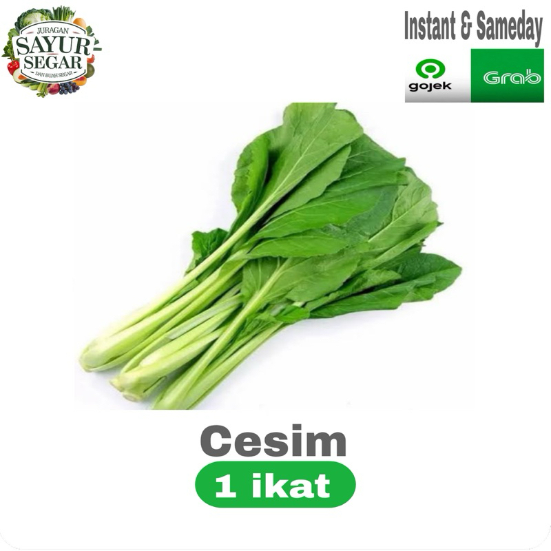 Sayuran CESIM/SESIM/SESIN segar murah 1 ikat