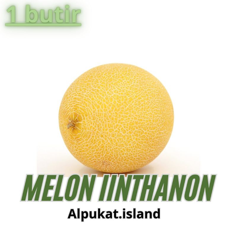 

melon inthanon perbuah utuh | 1kg lebih