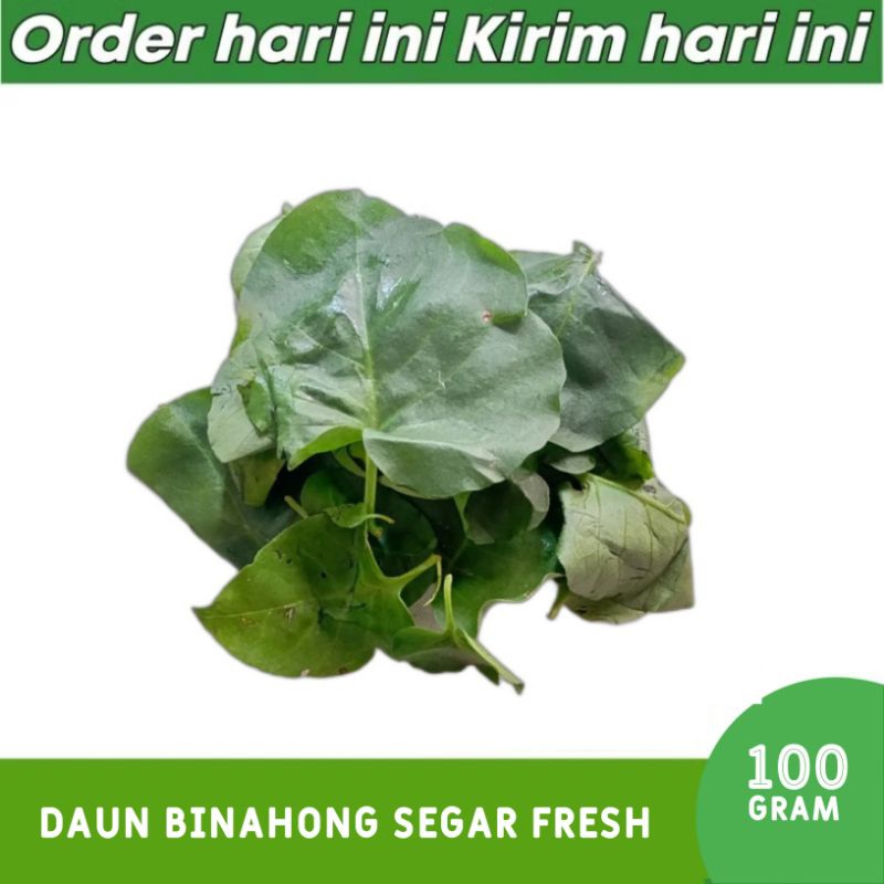 

SaudagarBali - Daun Binahong Segar Fresh Obat Herbal Penyembuh Luka 100gram