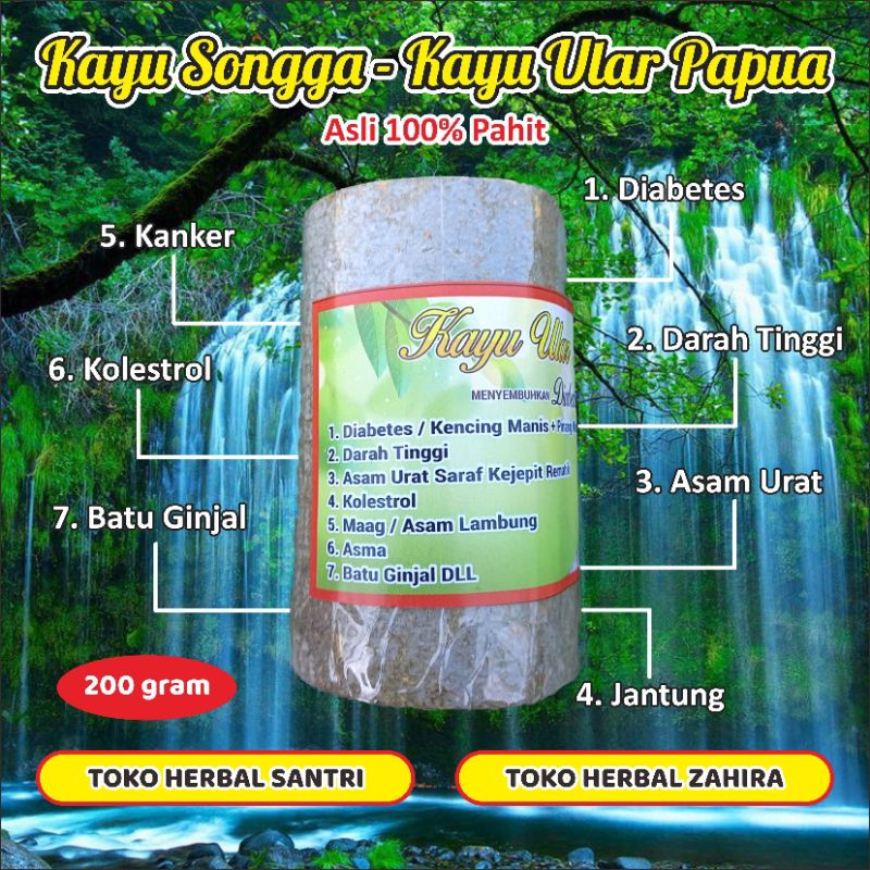 

kayu songga /kayu papua asli pahit mengobati asam urat, sarap kejepit, lemah jantung, diabetes dll dijamin ampuh