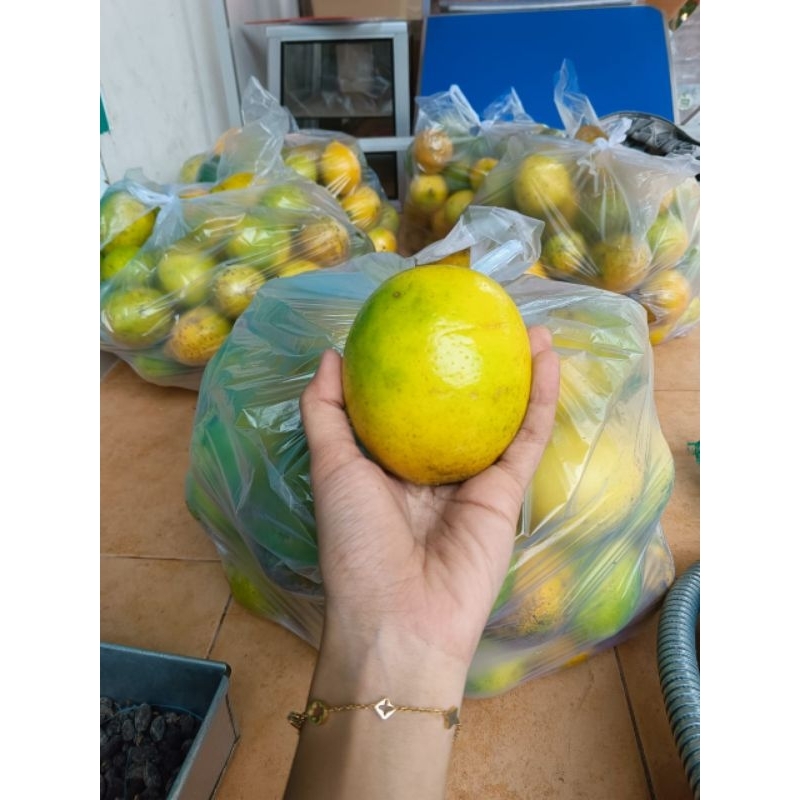 

JERUK LEMON LOKAL 1kg