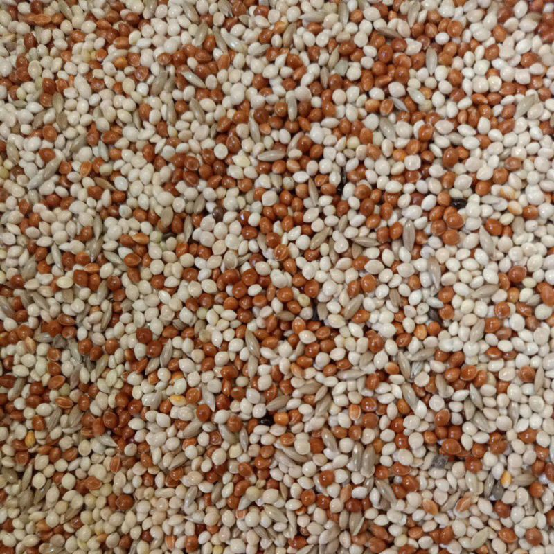 Milet Campur Lovebird Pakan Burung Kiloan