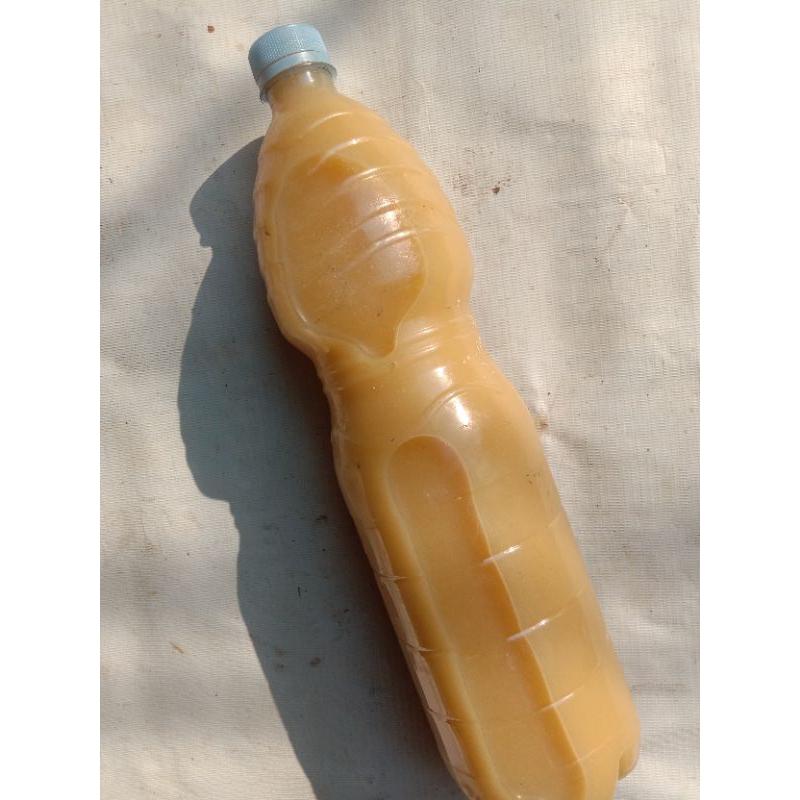 

Susu Jagung Alami Banyak Khasiat