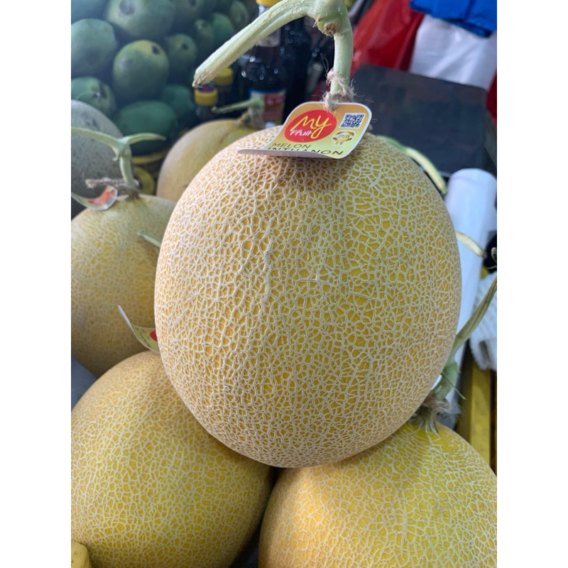 melon premium | melon manis buah melon manis