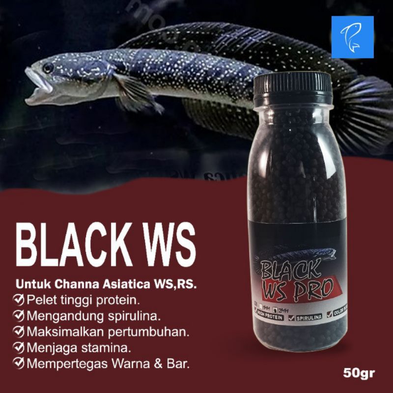 Pelet black ws pro pakan ikan Channa asiatica ws pelet Chana Asiatika ws rs