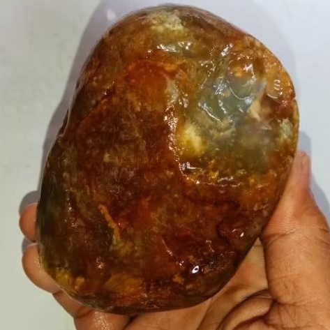 batu akik mani gajah madu full kristal (511)