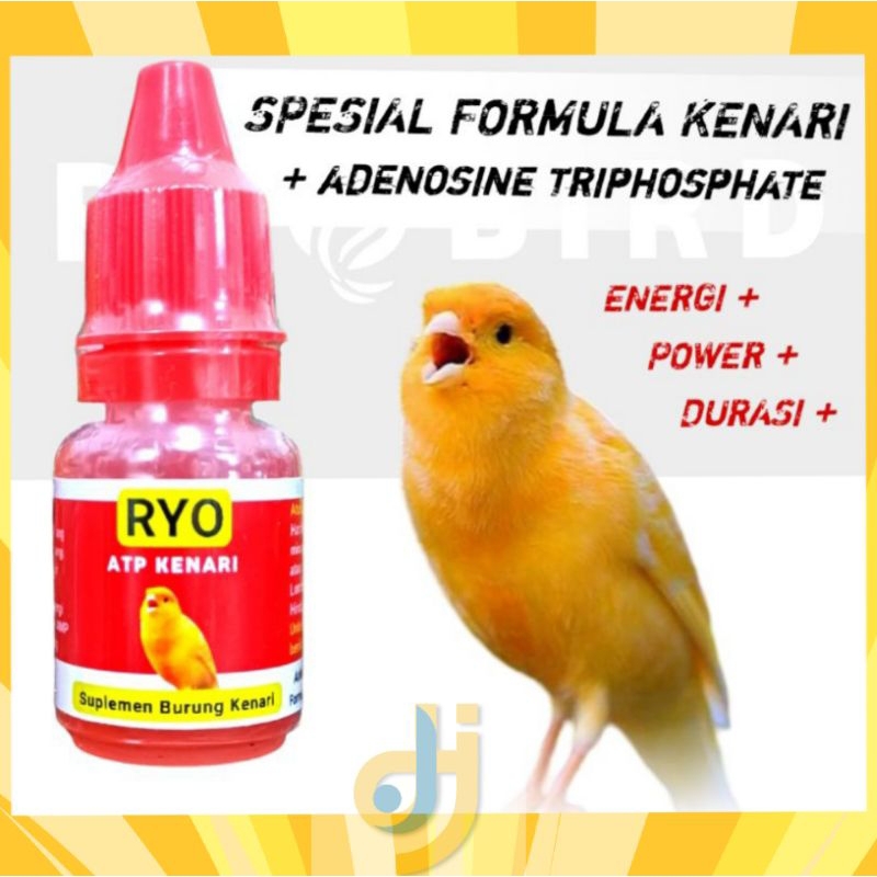RYO ATP KENARI Suplemen ATP Vitamin Burung Kenari Finch Blacktroath