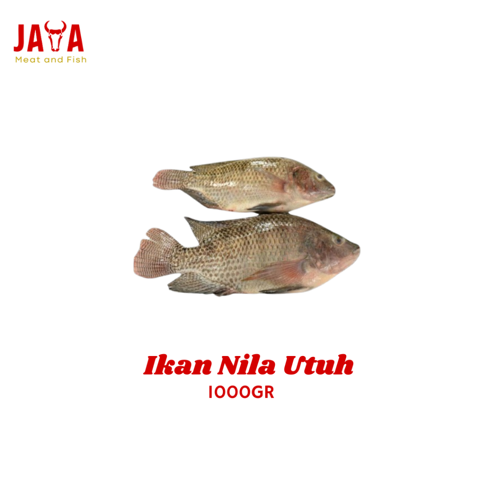 

Ikan Nila Segar 1kg | Nila Utuh Fresh 1kg